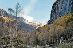 Val Calnegia - Birken und Steilhang